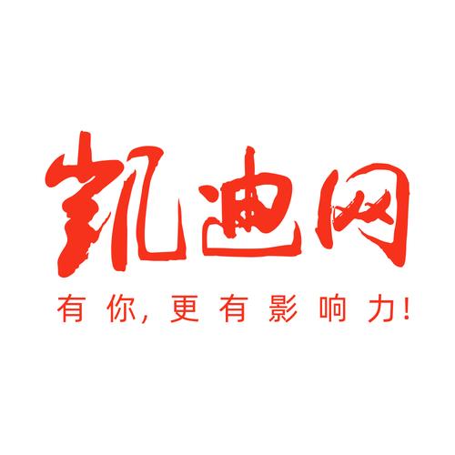 凯迪网络信息科技
